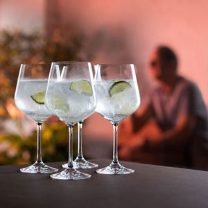DARTINGTON CRYSTAL <BR>
Cheers set of Gin Copa Glasses <BR>