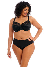 Load image into Gallery viewer, ELOMI <BR>
Morgan Stretch Banded Bra <BR>
Black or Sahara available <BR>