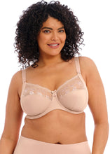 Load image into Gallery viewer, ELOMI <BR>
Morgan Stretch Banded Bra <BR>
Black or Sahara available <BR>