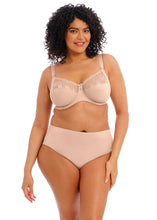 Load image into Gallery viewer, ELOMI <BR>
Morgan Stretch Banded Bra <BR>
Black or Sahara available <BR>
