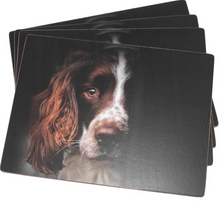 Load image into Gallery viewer, TRADESTOCK HOME<BR>
IStyle 4X Springer Spaniel Placemats/Coasters<BR>