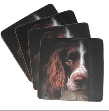 Load image into Gallery viewer, TRADESTOCK HOME<BR>
IStyle 4X Springer Spaniel Placemats/Coasters<BR>