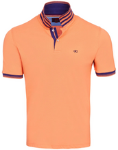 Load image into Gallery viewer, ANDRE MENSWEAR<BR>
Blarney Poloshirt<BR>
Various Colours <BR>