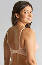Load image into Gallery viewer, PANACHE<BR>
Ana Plunge Bra<BR>
Orchid/Indigo, Sage, Pink<BR>