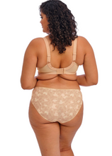 Load image into Gallery viewer, ELOMI<BR>
Morgan Stretched Bra<BR>
Toasted Almond<BR>