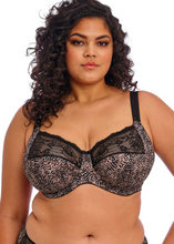 Load image into Gallery viewer, ELOMI<BR>
Morgan Stretched Bra<BR>
Ebony Black, Toasted Almond<BR>
