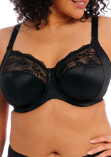 Load image into Gallery viewer, ELOMI <BR>
Morgan Stretch Banded Bra <BR>
Sahara, Midnight, Black, White <BR>