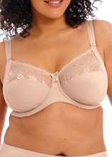 Load image into Gallery viewer, ELOMI<BR>
Nerina Underwire Moulded Spacer Bra<BR>
Black. Sahara<BR>