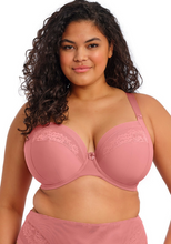 Load image into Gallery viewer, ELOMI<BR>
Nerina Underwire Bra<BR>
Dusty Rose<BR>