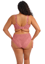 Load image into Gallery viewer, ELOMI<BR>
Nerina Underwire Bra<BR>
Dusty Rose<BR>
