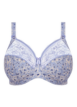 Load image into Gallery viewer, ELOMI<BR>
Morgan Underwire Stretch Bra<BR>
Blue Leopard<BR>