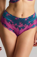 Load image into Gallery viewer, PANACHE<BR>
Clara Brief<BR>
Dusky Blue, Black Pink, Honey, Teal/Magenta <BR>