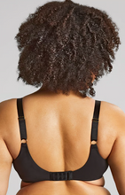 Load image into Gallery viewer, PANACHE<BR>
Sculptresse Sophia Full Cup Bra<BR>
Black<BR>