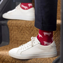 Load image into Gallery viewer, SWOLE PANDA <BR>
Men's Pig Socks<BR>
Red & Pink
