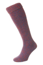 Load image into Gallery viewer, HJ HALL <BR>
Wellington Boot Sock <BR>