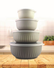Load image into Gallery viewer, CREATIVE PRODUCTS <BR>
Set of 4 stacking bowls with lids <BR>
