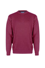 Load image into Gallery viewer, KESSLER &lt;BR&gt;
Paul Round Neck &lt;BR&gt;
Available in Navy, Lilac &amp; Pink &lt;BR&gt;
