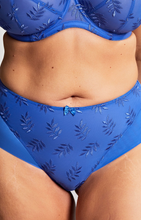 Load image into Gallery viewer, PANACHE&lt;BR&gt;
Tango Brief&lt;BR&gt;
Cobalt&lt;BR&gt;

