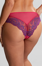 Load image into Gallery viewer, PANACHE&lt;BR&gt;
Anna Brazilian Brief&lt;BR&gt;
Orchid/Indigo&lt;BR&gt;
