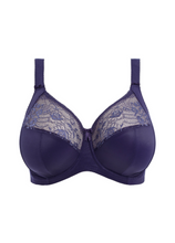 Load image into Gallery viewer, ELOMI <BR>
Morgan Stretch Banded Bra <BR>
Sahara, Midnight, Black, White <BR>
