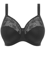 Load image into Gallery viewer, ELOMI <BR>
Morgan Stretch Banded Bra <BR>
Sahara, Midnight, Black, White <BR>
