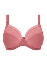 Load image into Gallery viewer, ELOMI<BR>
Nerina Underwire Bra<BR>
Dusty Rose<BR>
