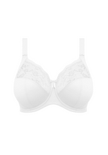 Load image into Gallery viewer, ELOMI <BR>
Morgan Stretch Banded Bra <BR>
Sahara, Midnight, Black, White <BR>
