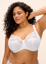 Load image into Gallery viewer, ELOMI <BR>
Morgan Stretch Banded Bra <BR>
Sahara, Midnight, Black, White <BR>
