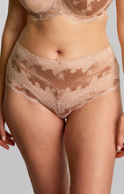 Load image into Gallery viewer, PANACHE<BR>
Clara Brief<BR>
Dusky Blue, Black Pink, Honey <BR>
