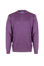 Load image into Gallery viewer, KESSLER &lt;BR&gt;
Paul Round Neck &lt;BR&gt;
Available in Navy, Lilac &amp; Pink &lt;BR&gt;
