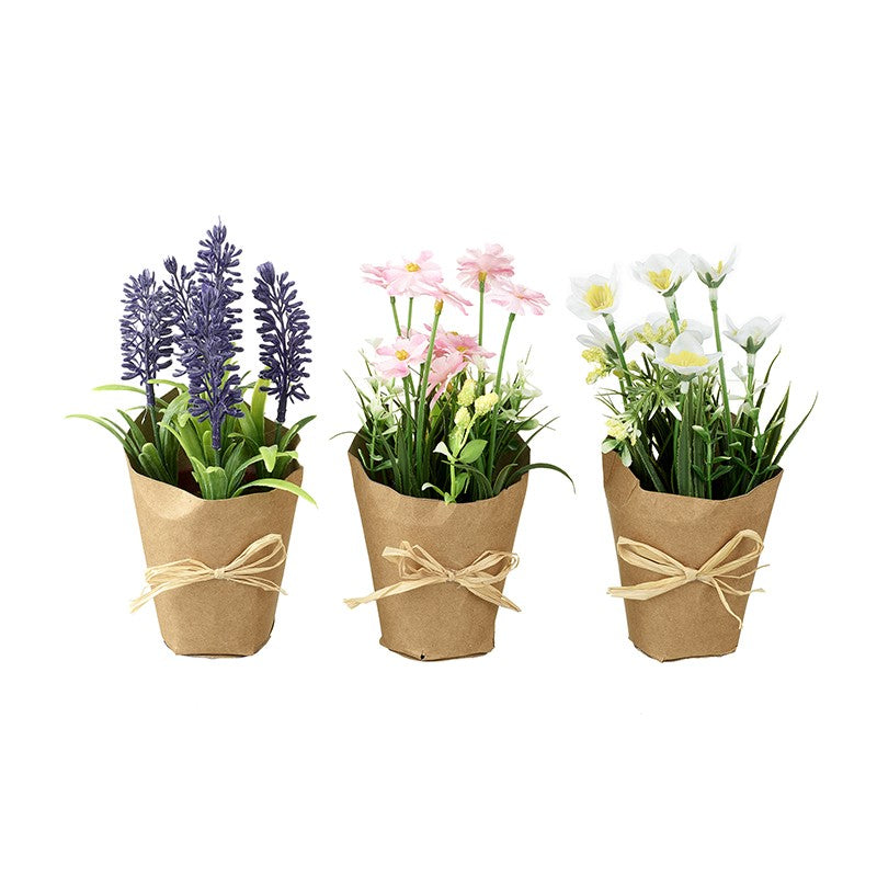HEAVEN SENDS <BR>
Pretty Flowers in Pots <BR>