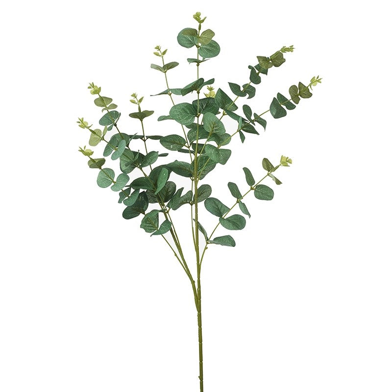 HEAVEN SENDS <BR>
Eucalyptus Branches Large <BR>