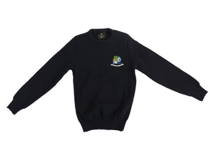 ATHLONE COMMUNITY COLLEGE <BR>
Girl's Crested Round Neck Acrylic Jumper <BR>
Navy <BR>