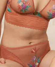 Load image into Gallery viewer, TRIUMPH &lt;BR&gt;
Shadow Spotlight Hipster Brief &lt;BR&gt;
Rust &lt;BR&gt;
