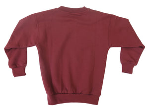 ST. PAULS NS <BR>
Acrylic V Neck Jumper <BR>
Crested Wine <BR>